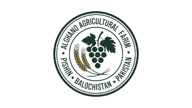 About Our Company stamp