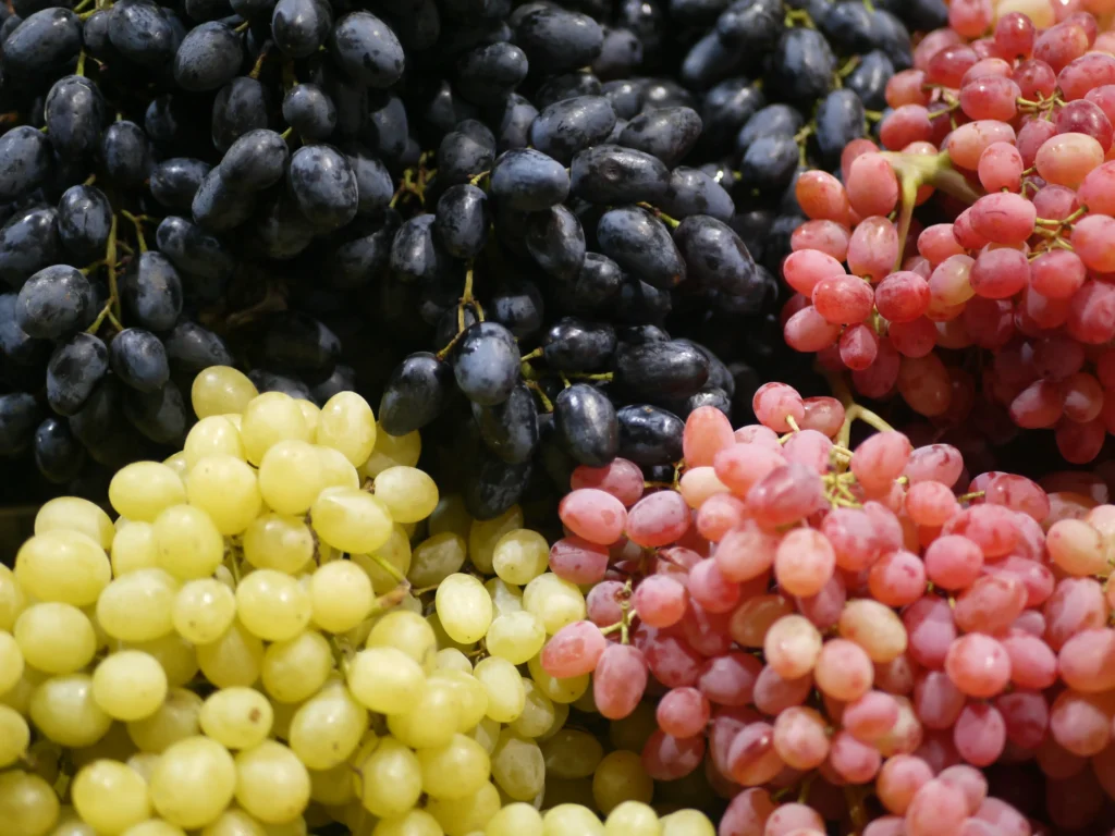 Our Services Grapes