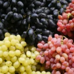 Home Grapes